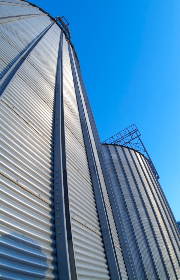 Standard Ethics conferma il rating ESG "EE" del Gruppo Casillo per il 2025